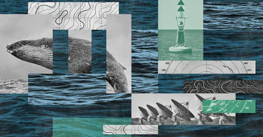 Collage of whale, ocean, and navigational instruments representing species-specific perceptual worlds