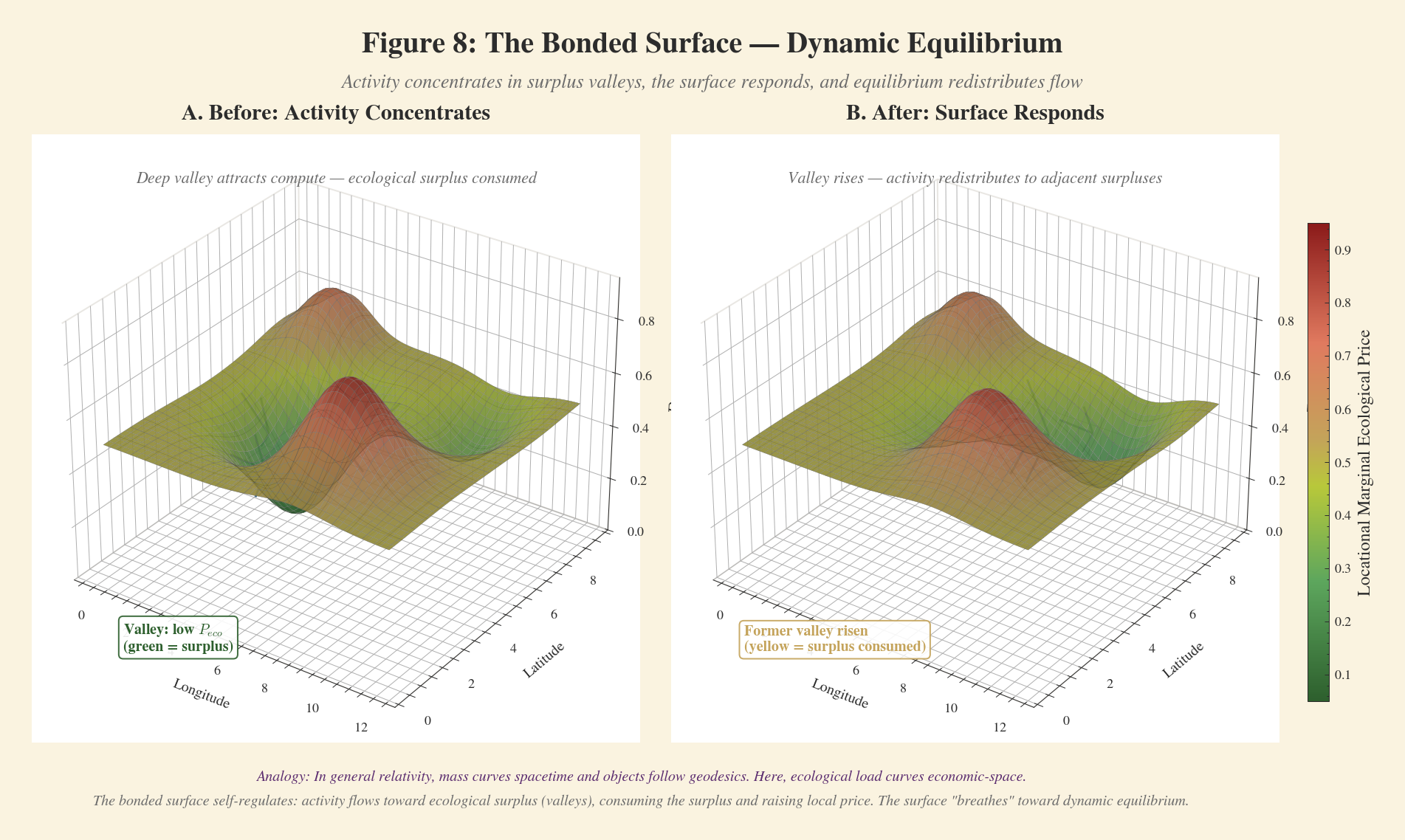Figure 8: Dynamic Equilibrium — activity concentrates in ecological surplus valleys (A), the surface responds as surplus is consumed (B), and equilibrium redistributes flow.